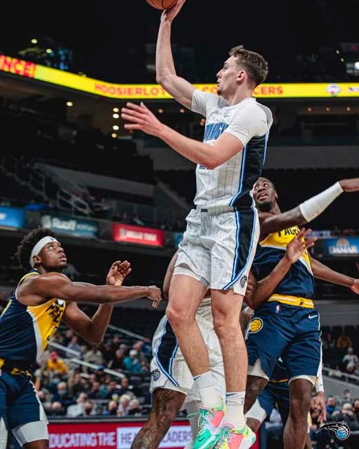 强弱之分 强弱之分