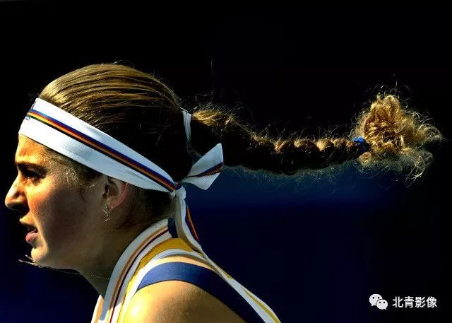 林间小世界 林间小世界